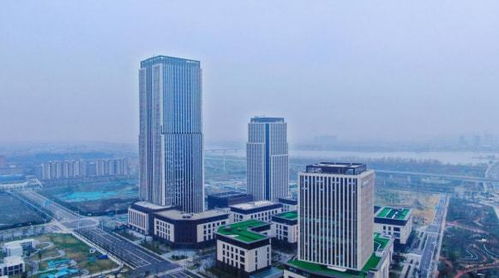 揚(yáng)州生態(tài)科技新城三項(xiàng)目入選省重點(diǎn)清單，以軟件驅(qū)動“兩業(yè)融合”新篇章